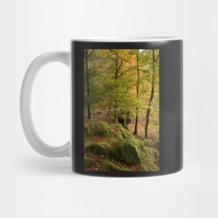 Brathay Woods #1 Mug